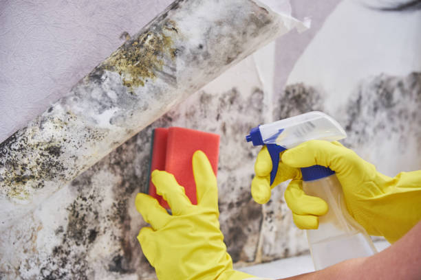 Mold Remediation for Vacation Homes in Russell, GA